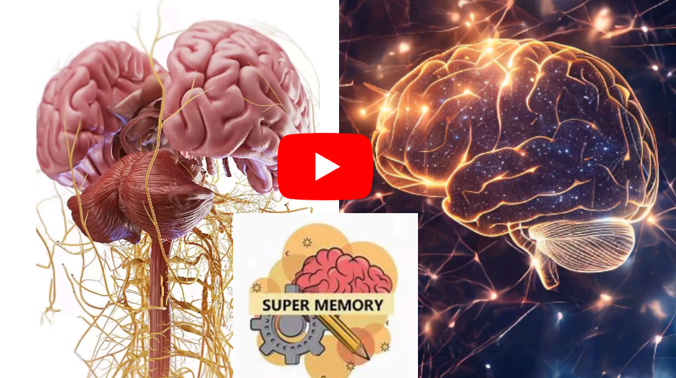 Brain Memory Presell